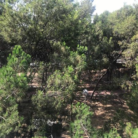 Apartamento Con Terraza, Garaje Y Piscina A 350M Playa Garrucha Zewnętrze zdjęcie